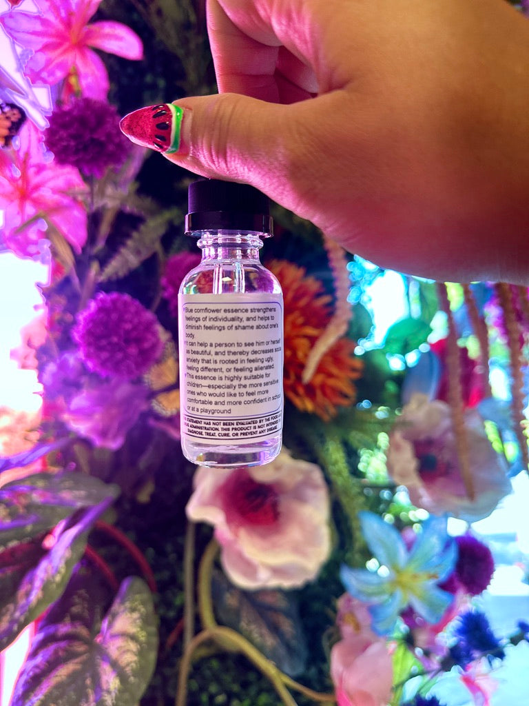 Cornflower Flower Essence