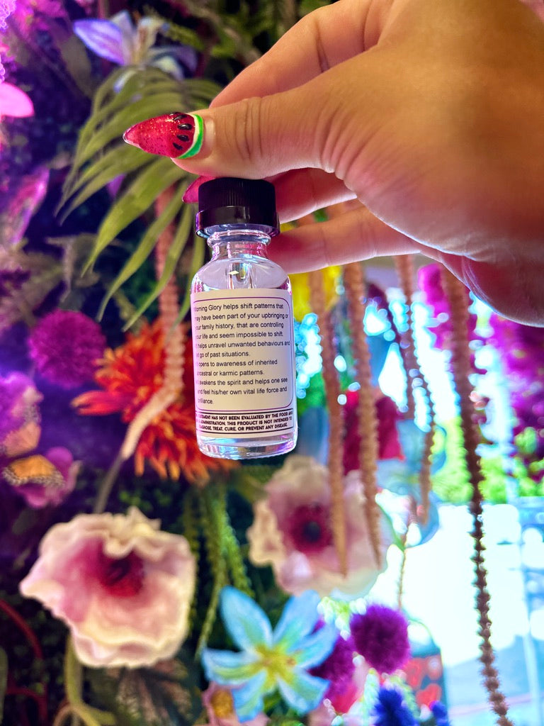 Morning Glory Flower Essence