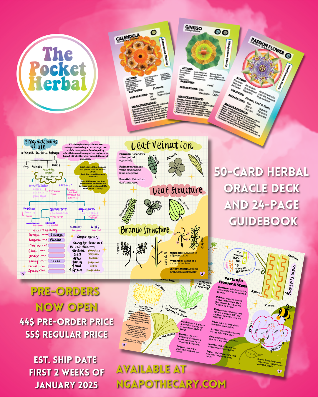 The Pocket Herbal : Plant Magick Guide 50-card Oracle Deck & 24-Page Guidebook